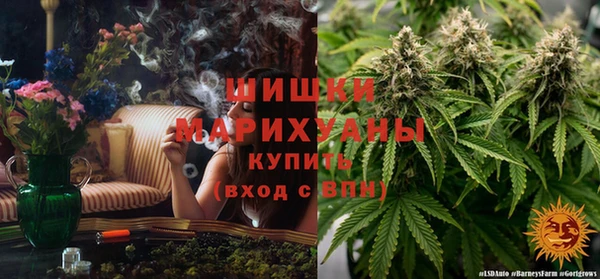 шишки Беломорск