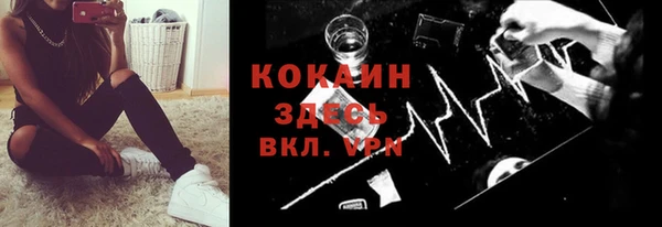шишки Беломорск