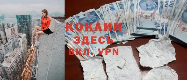 шишки Беломорск