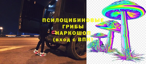 2c-b Белокуриха
