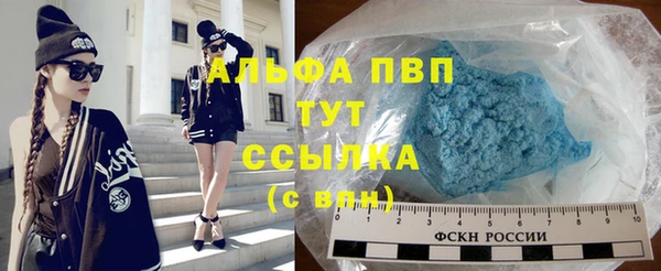 шишки Беломорск